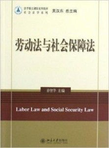 劳动人事代理制度的法律规制与实务探讨